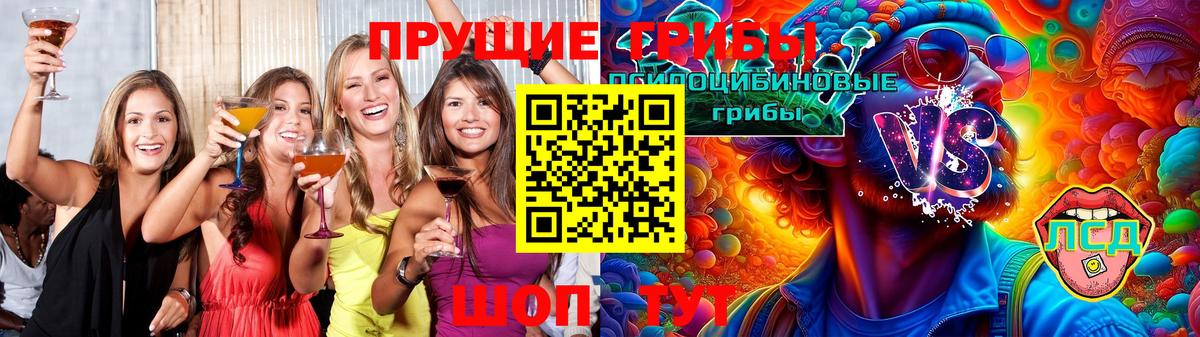 Людиново  где найти наркотики  Вход с VPN  Галлюциногенные грибы Psilocybe 